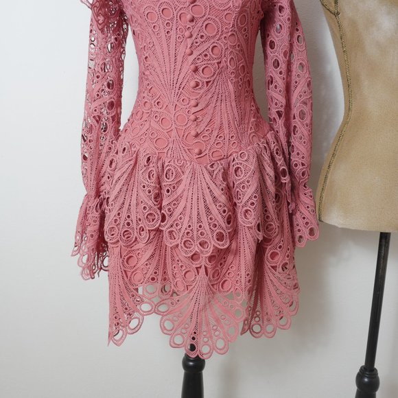 L'ATISTE Dusty Rose Pink Lace Eyelet Ruffle MockNeck Victorian French Boho Dress - Picture 5 of 16
